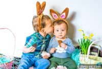 Chapter Three: Spring’s Renewal