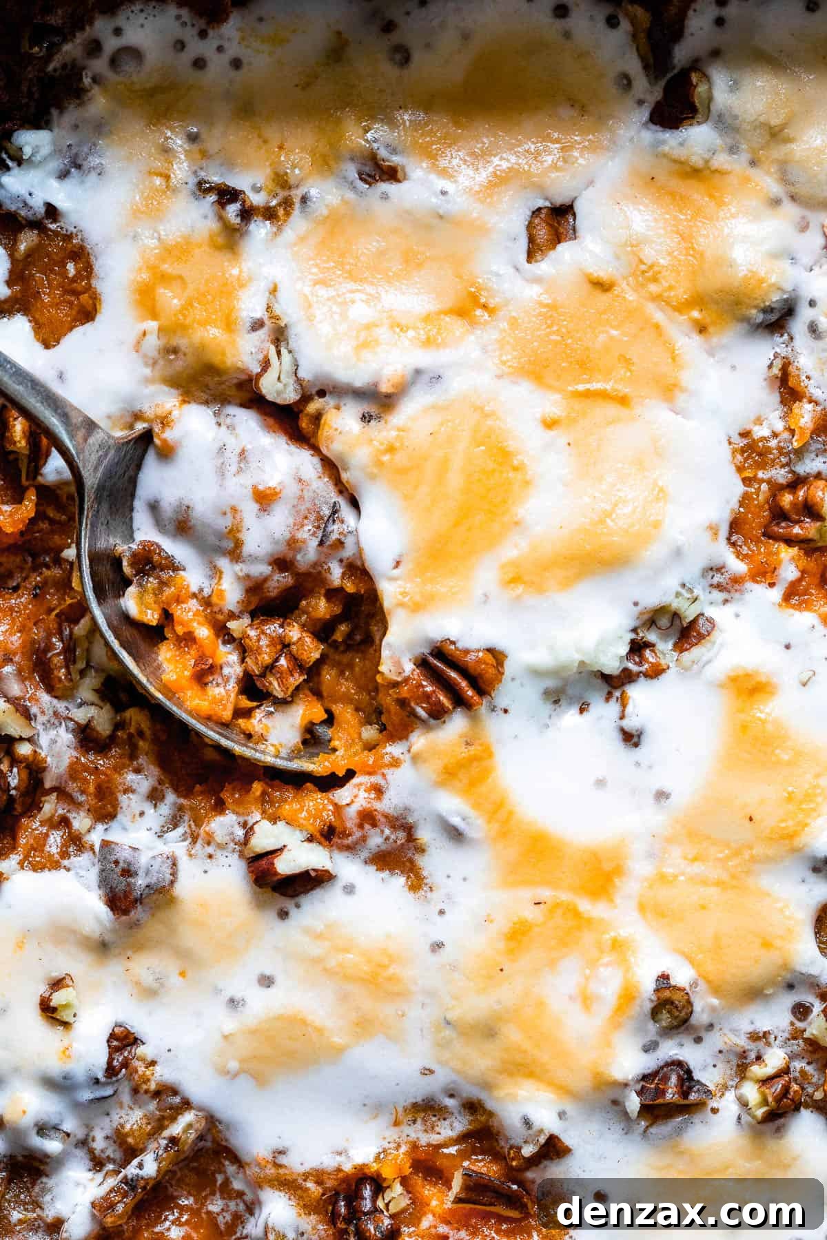 A close-up shot of a baked sweet potato casserole, highlighting the bubbly, golden-brown marshmallow topping and the rich orange hue of the sweet potatoes beneath.
