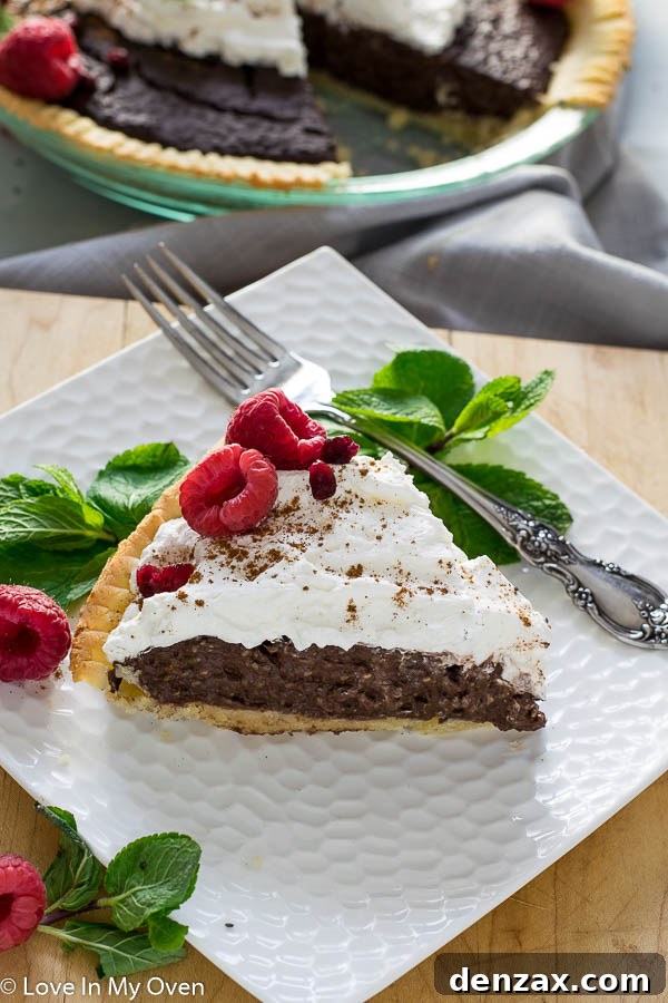 Close-up of Grain-Free Chocolate Chia Pudding Pie Slice