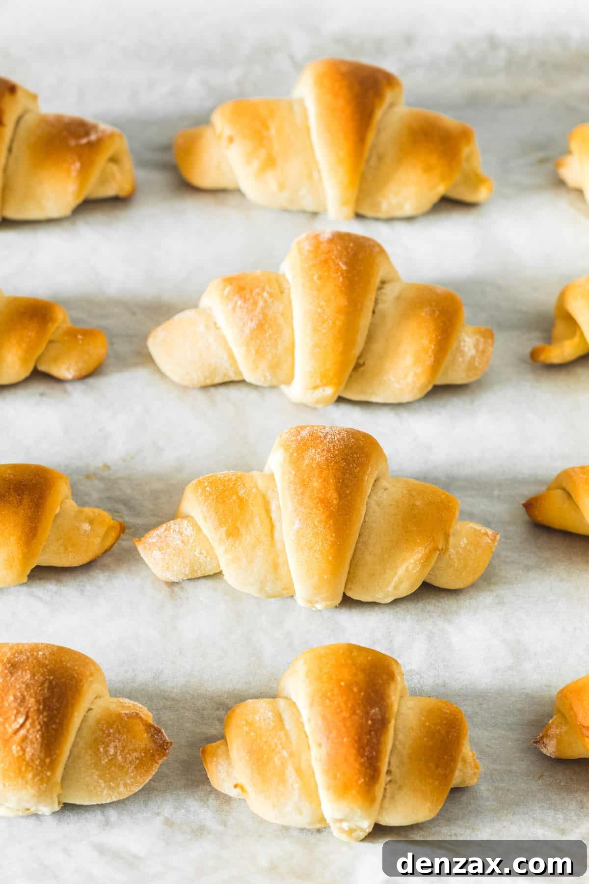 A dozen butterhorn rolls arranged on a baking sheet, golden brown and ready to be served.