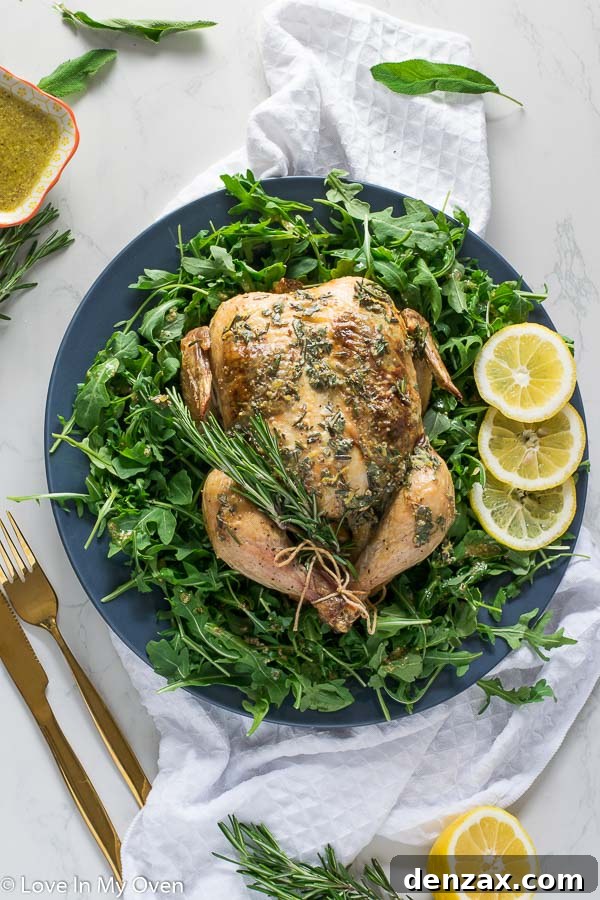 Roast Chicken with Dijon Herb Butter - A culinary masterpiece from Rosie Daykin's cookbook