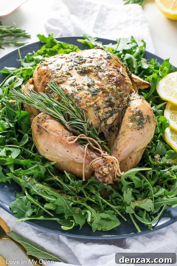 Perfectly Roasted Dijon Herb Butter Chicken - A family favorite dinner
