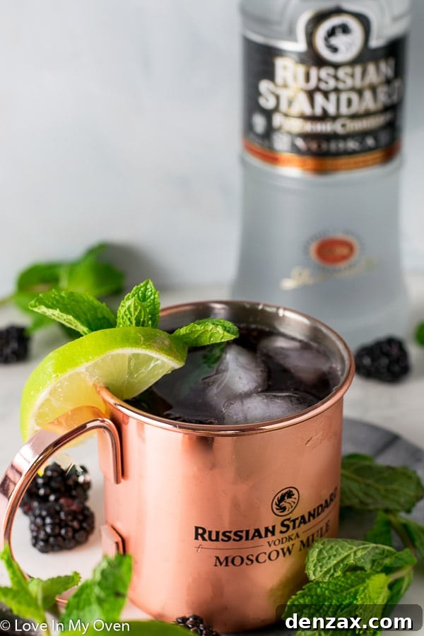Blackberry Mint Moscow Mule - a refreshing summer vodka cocktail