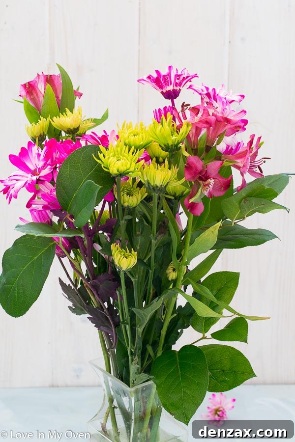 Spring blossoms and fresh beginnings