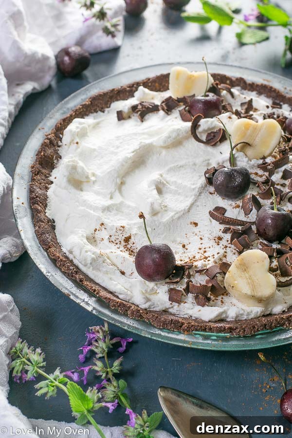 Close-up of a whole chocolate nice cream pie with a gluten-free crust, ready to be sliced.