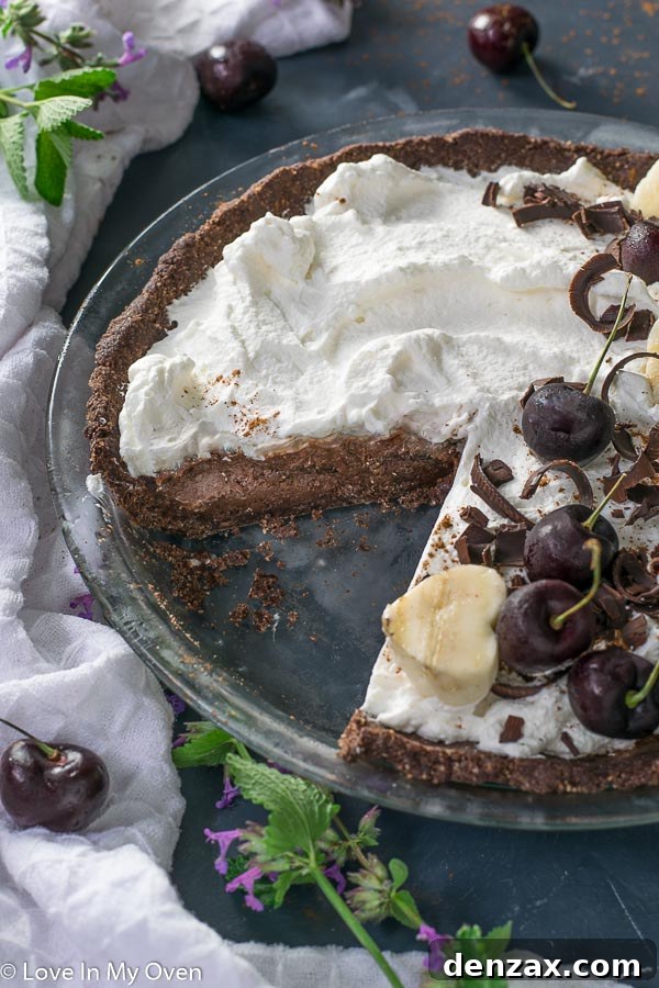A perfect slice of chocolate nice cream pie on a plate, topped with whipped cream and a sprinkle of cinnamon, against a light background.