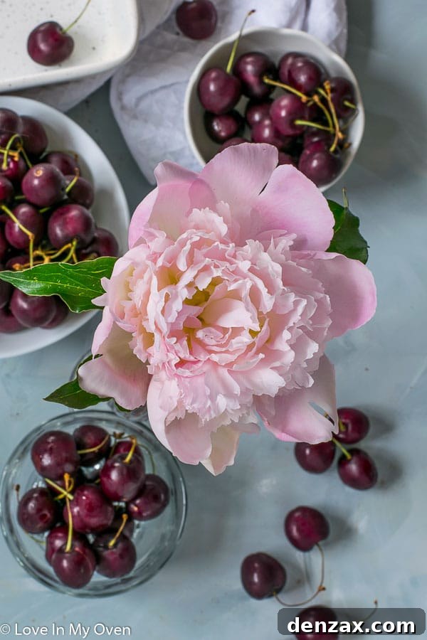 A basket overflowing with fresh, ripe red cherries, ready for baking or enjoying.