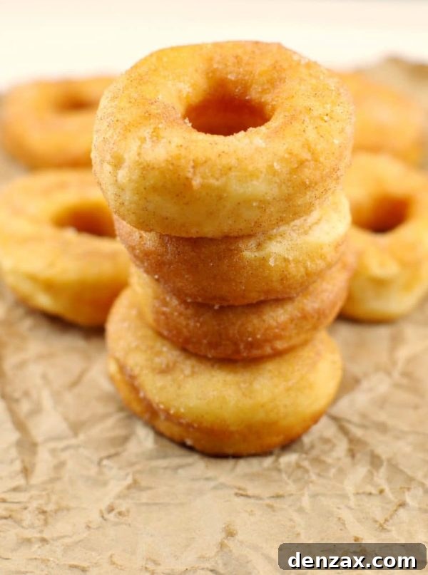 Mini Ukrainian Doughnuts (Pampushky) sprinkled with cinnamon sugar.