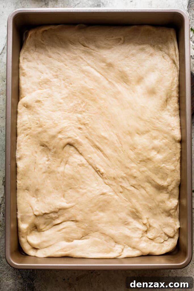 bread dough pressed evenly into a baking pan, ready for its second rise.