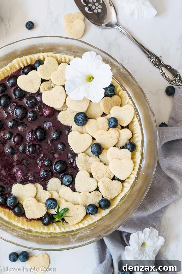 Healthy blueberry pie filling
