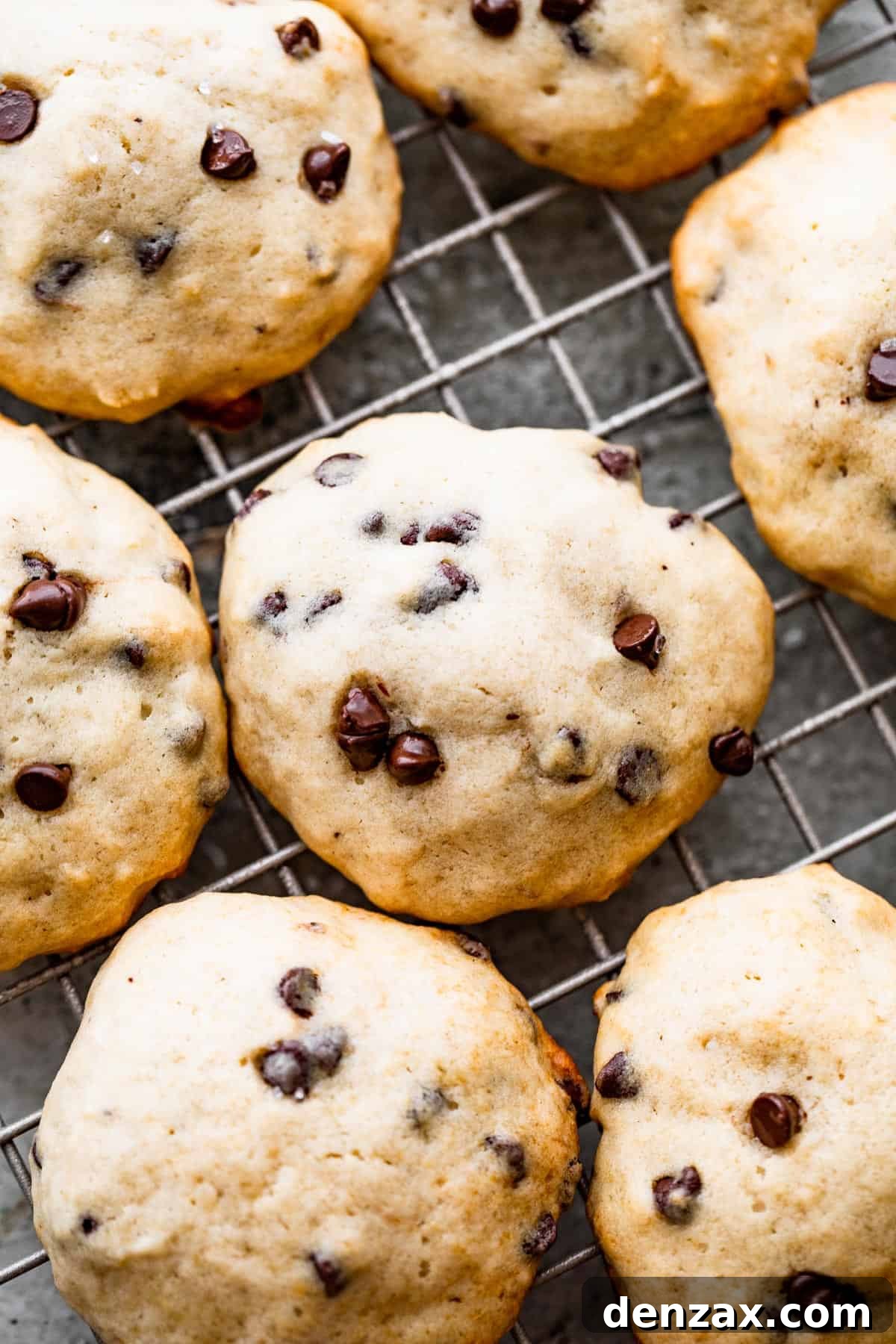 Freshly baked banana chocolate chip cookies cooling on a metal wire rack after being removed from the oven.