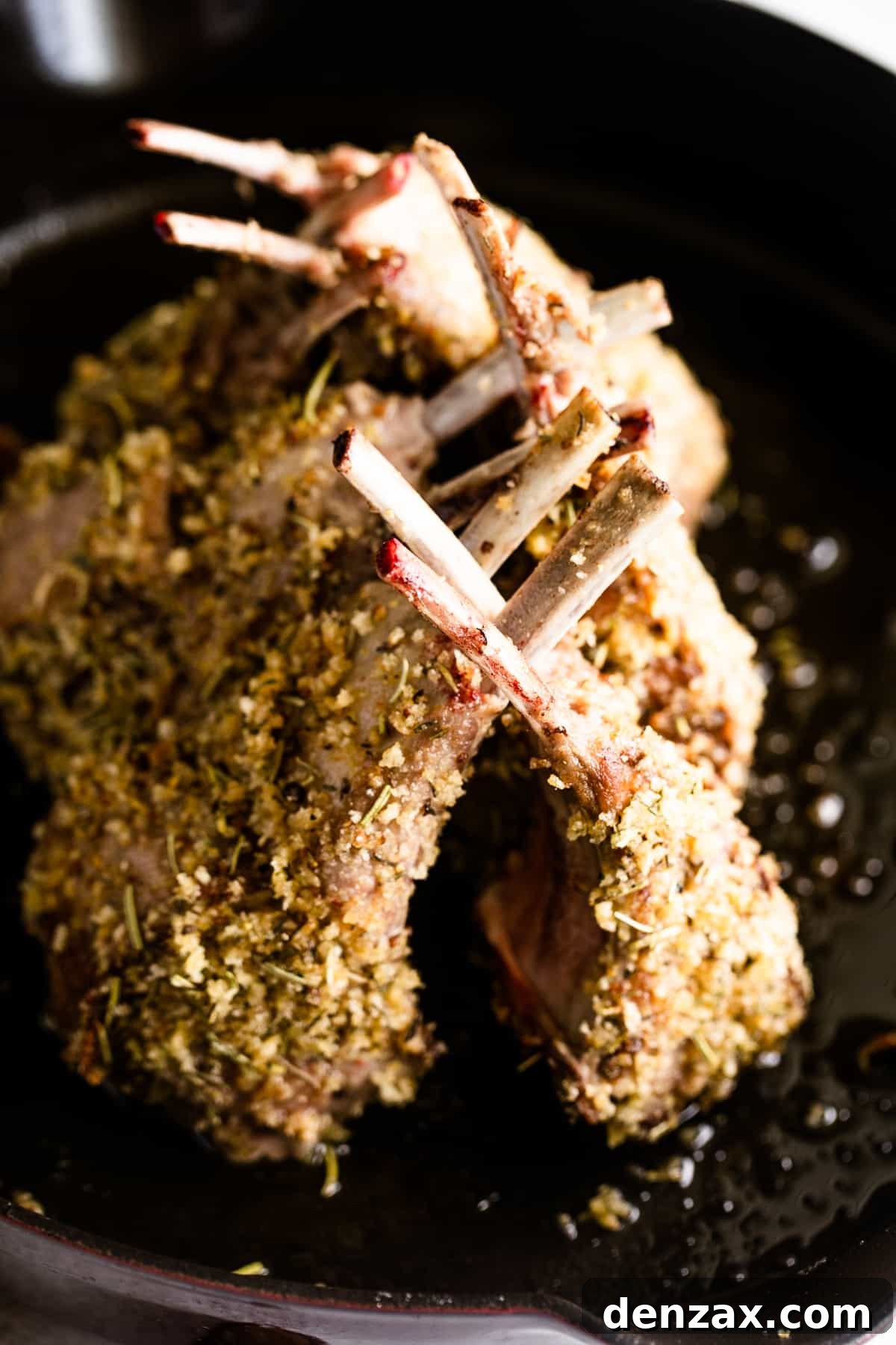 cooked frenched rack of lamb.