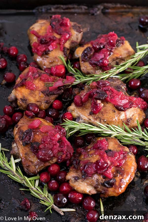 Plated Cranberry Chicken Thighs with a side of rice and kale, ready to be served.