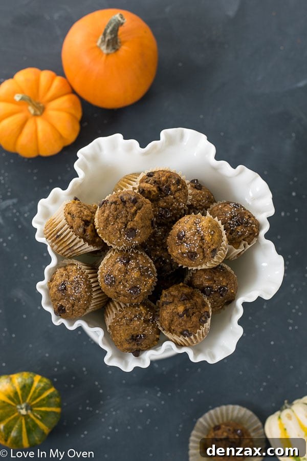 Delicious mini pumpkin muffins with chocolate chips