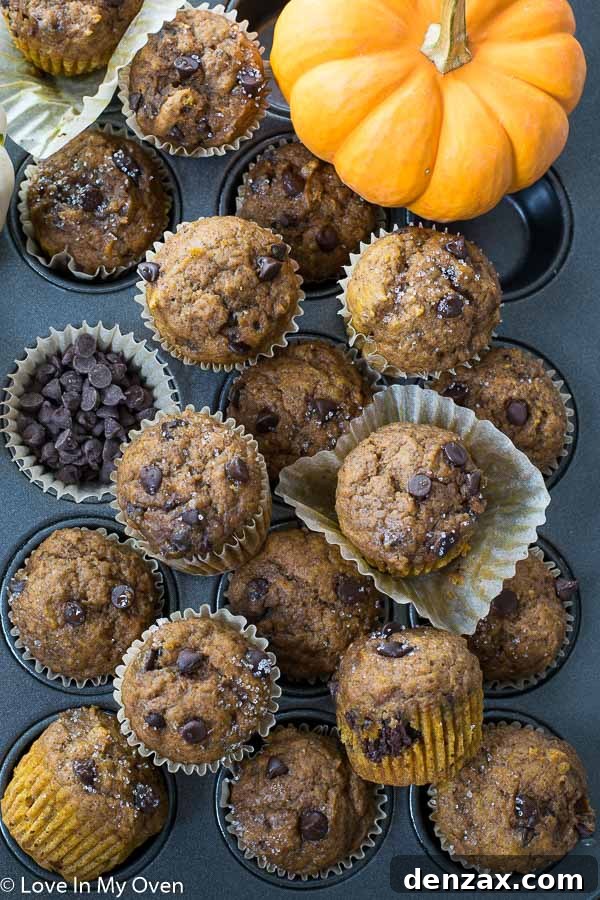 Closeup of mini pumpkin muffins on a cooling rack