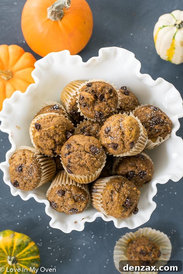 Stack of mini pumpkin muffins with chocolate chips