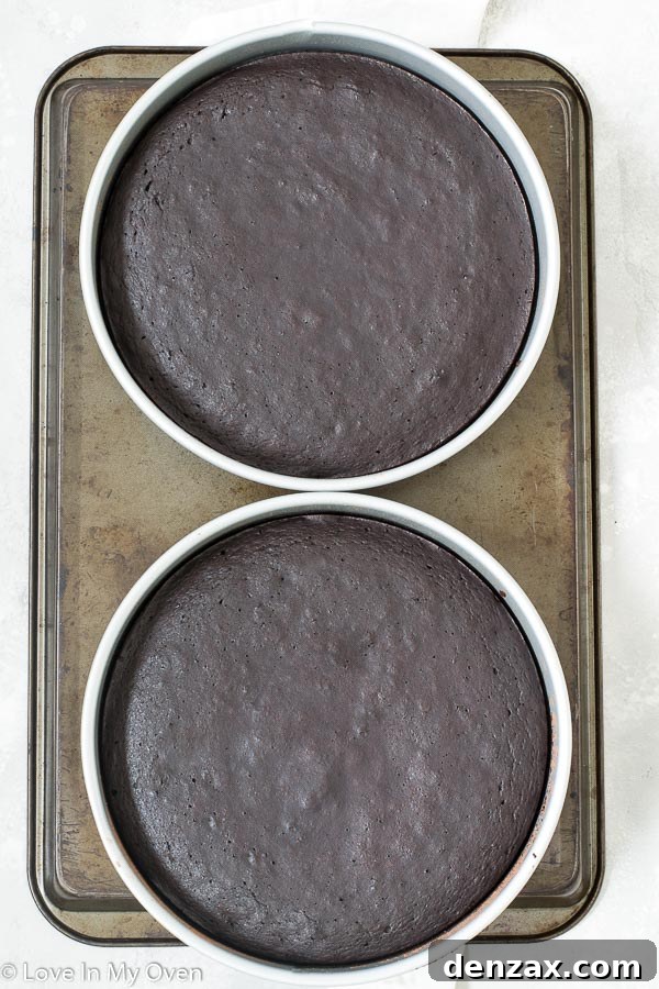 vegan chocolate beet cake