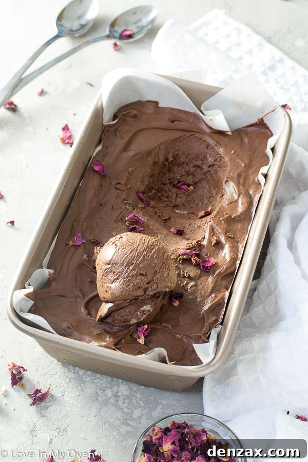 Rich and creamy no-churn vegan chocolate ice cream made with coconut milk and cocoa, served in a bowl with a spoon