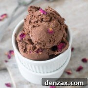 vegan chocolate ice cream