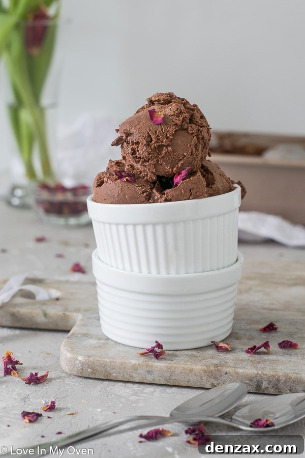 Scoops of no-churn vegan chocolate ice cream topped with a drizzle of chocolate sauce and fresh raspberries