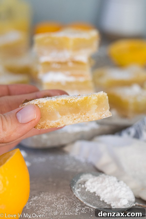 Close-up of a single Meyer Lemon Bar on a white plate, dusted with powdered sugar, highlighting its perfect texture.