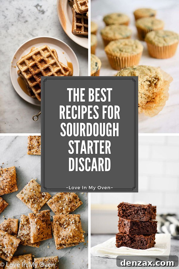 A vibrant collection of delicious recipes for sourdough starter discard, featuring various baked goods like muffins, waffles, and crackers, showcasing versatility.