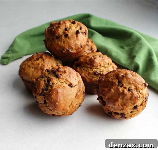 Hearty Oatmeal and Chocolate Chip Sourdough Muffins, with visible oats and melted chocolate.