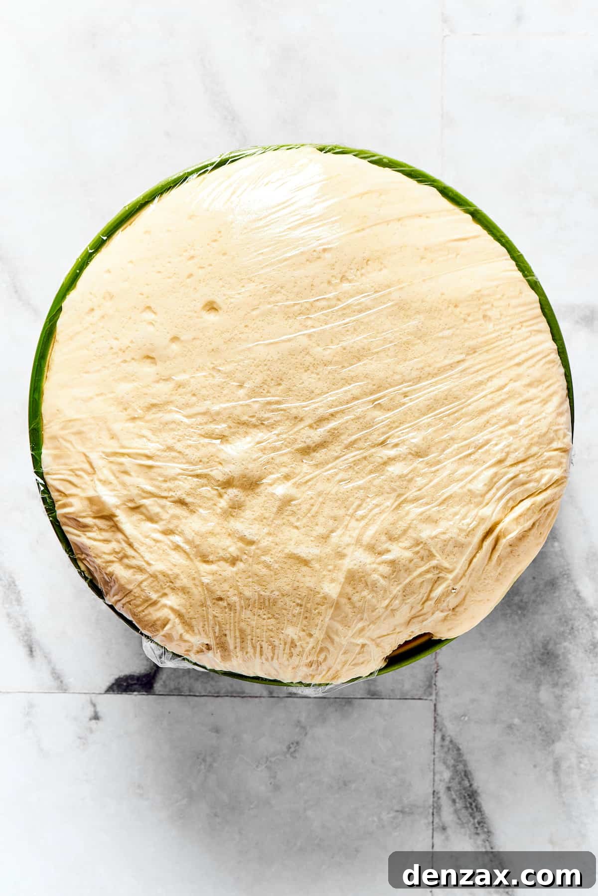 Risen dough in a mixing bowl.