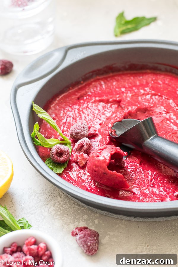 2 Ingredient Sorbet - Delicious and Healthy Raspberry Sorbet