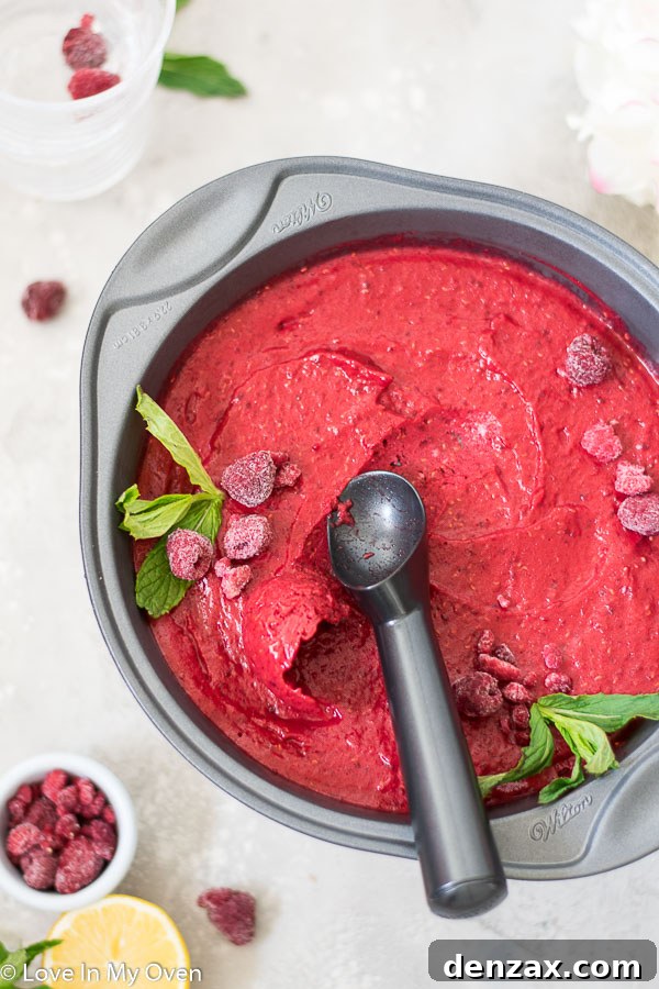Easy 2 Ingredient Sorbet - Homemade Frozen Fruit Dessert