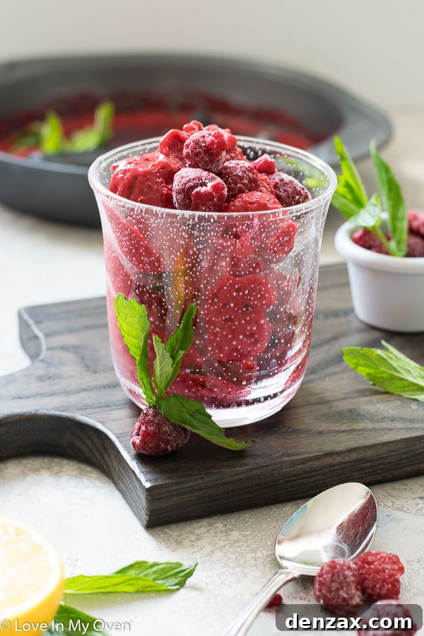 Healthy 2 Ingredient Raspberry Sorbet for Summer Dessert