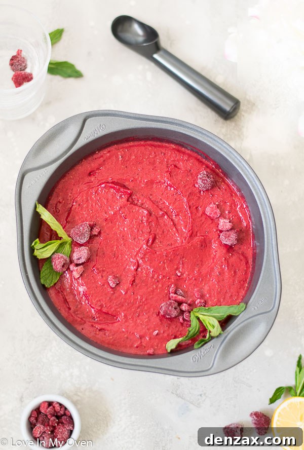 Delicious 2 Ingredient Sorbet in a Bowl