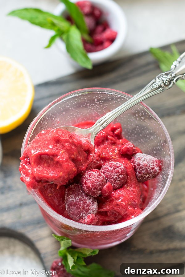 Refreshing 2 Ingredient Raspberry Sorbet