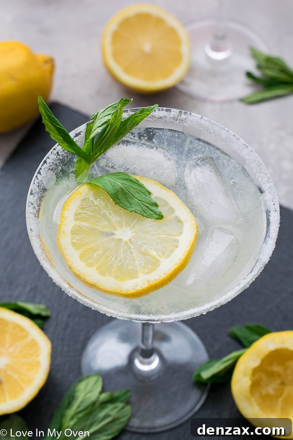 Garnished Lemon Vodka Cocktail
