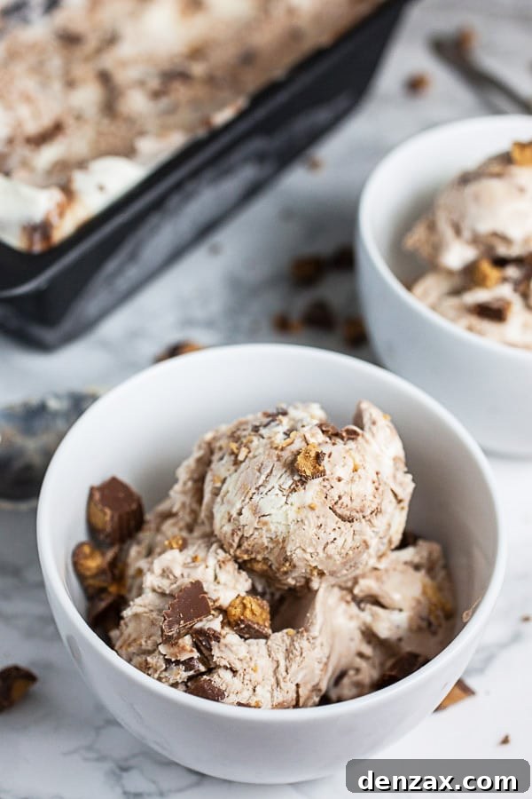25 Irresistible No-Churn Ice Cream Creations 12 Rich No-Churn Peanut Butter Cup Ice Cream with candy chunks and peanut butter swirl