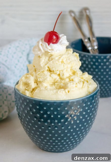 25 Irresistible No-Churn Ice Cream Creations 13 Refreshing No-Churn Lemonade Ice Cream scoop in a glass