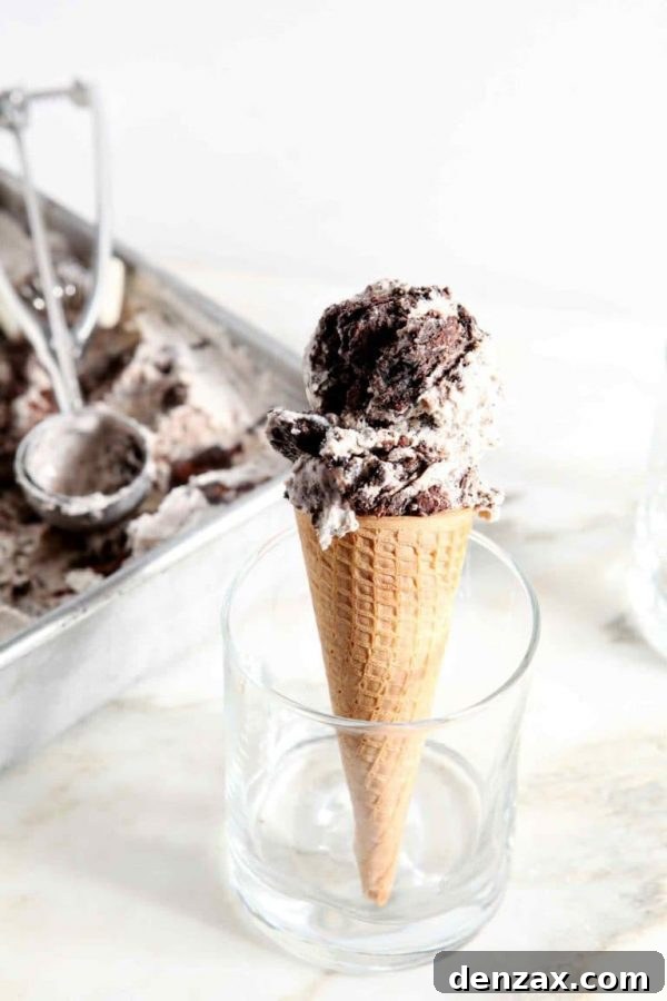25 Irresistible No-Churn Ice Cream Creations 14 Decadent No-Churn Guinness Brownie Ice Cream with brownie pieces and a dark, rich color