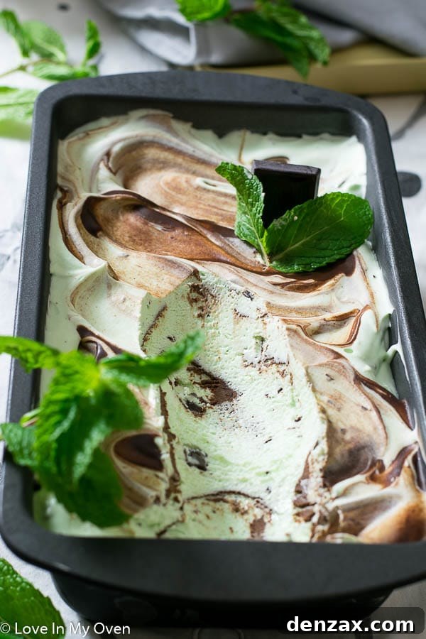 25 Irresistible No-Churn Ice Cream Creations 15 Refreshing Real Mint Chocolate Chip No-Churn Ice Cream with visible mint flecks