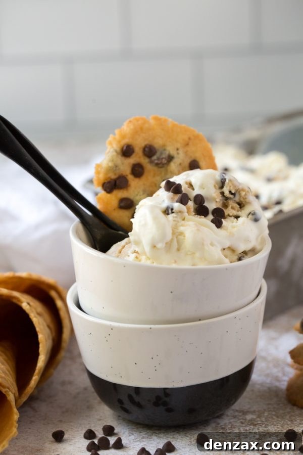 25 Irresistible No-Churn Ice Cream Creations 18 Delicious No-Churn Chocolate Chip Cookie Dough Ice Cream with visible cookie dough pieces