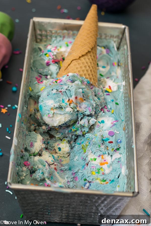 25 Irresistible No-Churn Ice Cream Creations 3 Colorful No-Churn Birthday Cake Ice Cream with sprinkles in a bowl