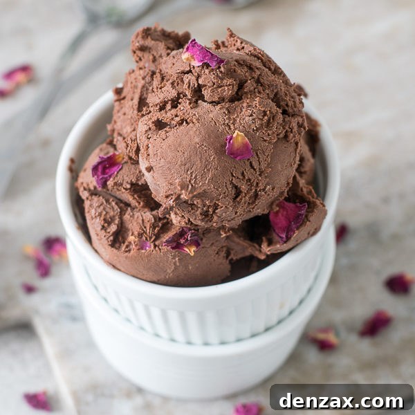 25 Irresistible No-Churn Ice Cream Creations 23 Silky smooth Vegan No-Churn Chocolate Ice Cream in a bowl with chocolate shavings