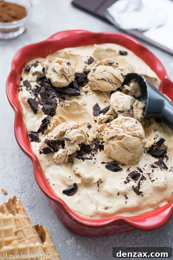 25 Irresistible No-Churn Ice Cream Creations 27 Creamy No-Churn Coffee Ice Cream scoop in a bowl with coffee beans