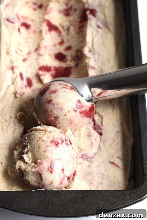 25 Irresistible No-Churn Ice Cream Creations 4 Vegan Peanut Butter Jam No-Churn Ice Cream with swirls of fruit jam