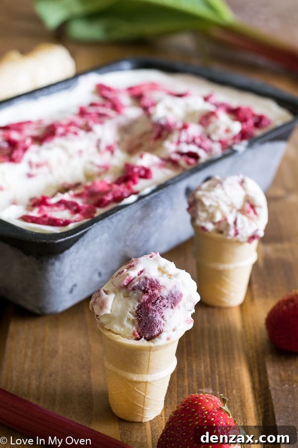 25 Irresistible No-Churn Ice Cream Creations 7 Creamy Roasted Strawberry Rhubarb No-Churn Ice Cream with a vibrant swirl