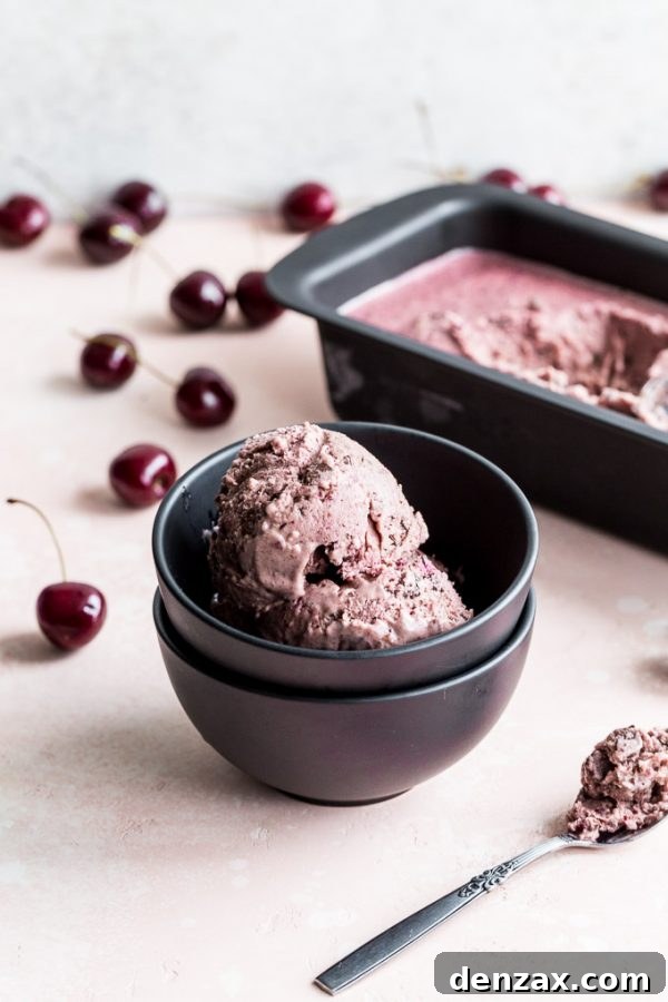 25 Irresistible No-Churn Ice Cream Creations 8 Vegan Cherry Chocolate Chip Nice Cream in a bowl with fresh cherries
