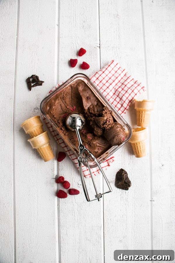25 Irresistible No-Churn Ice Cream Creations 9 Decadent Dark Chocolate Raspberry No-Churn Ice Cream with fresh raspberries