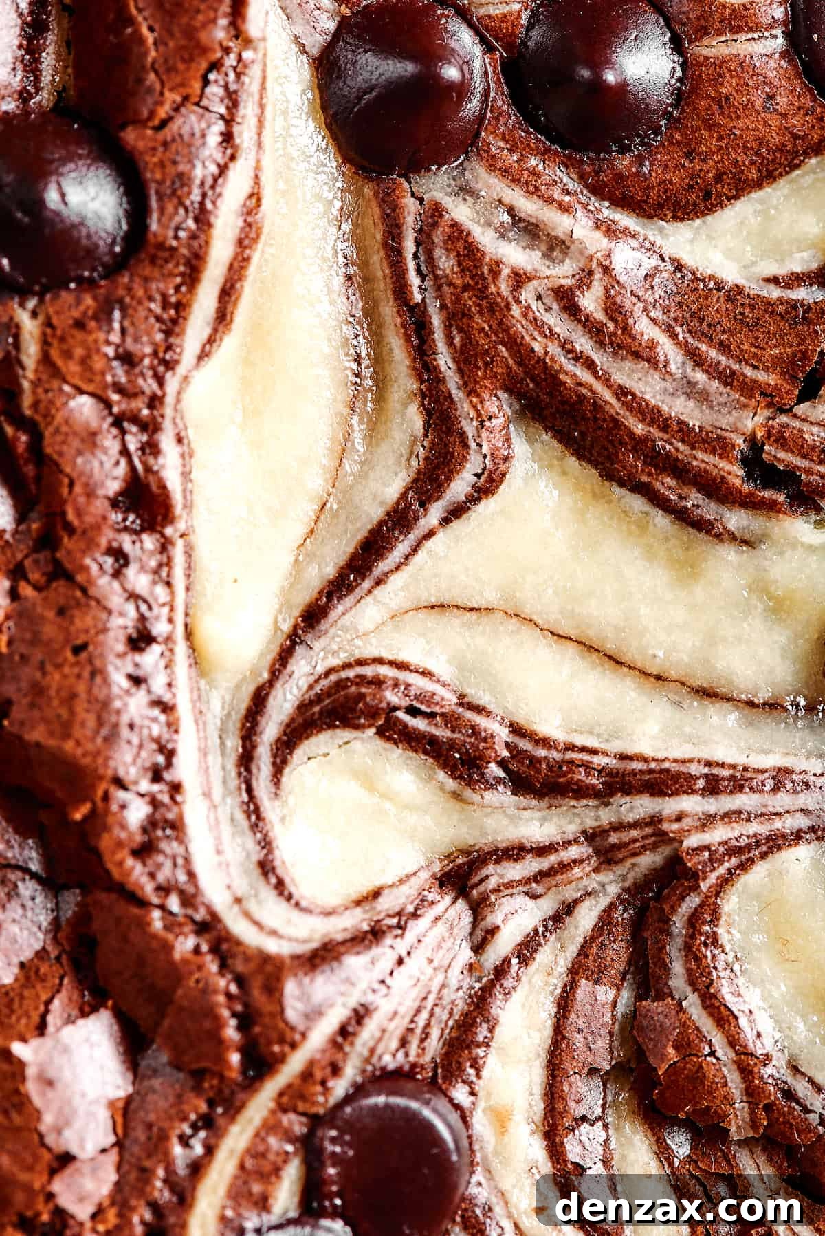 Perfect fudgy brownies get a major upgrade in this Cream Cheese Brownies recipe! An easy dessert loaded with cheesecake and chocolate. Close-up shot of a single cream cheese brownie revealing the luscious cheesecake swirl and rich chocolate base.