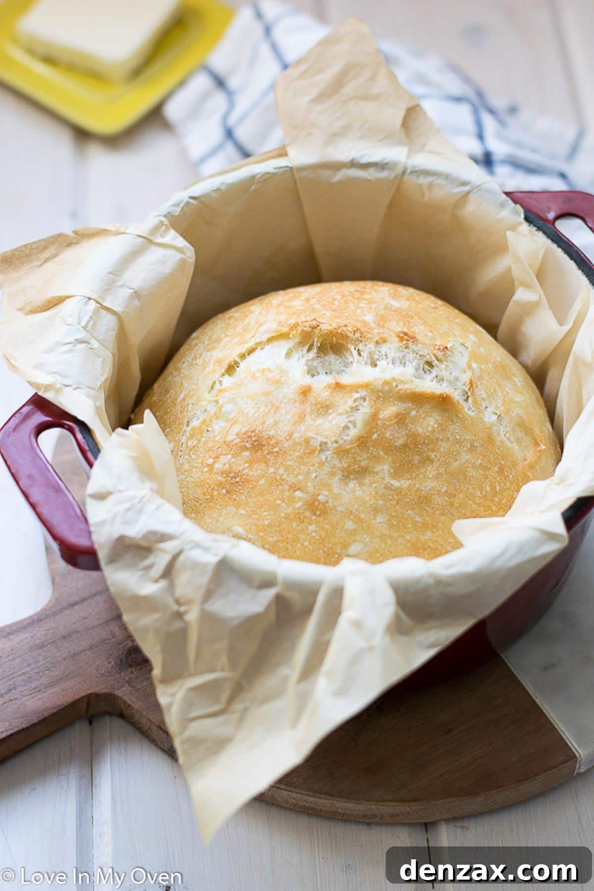A slice of the 3-ingredient no-knead bread, revealing its open, airy crumb and golden crust.