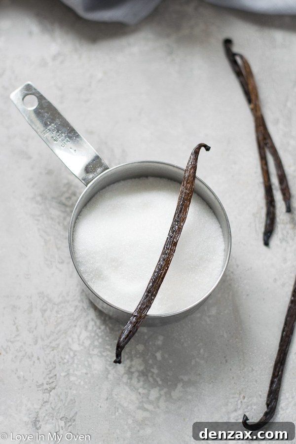 Vanilla Bean Pods and Seeds