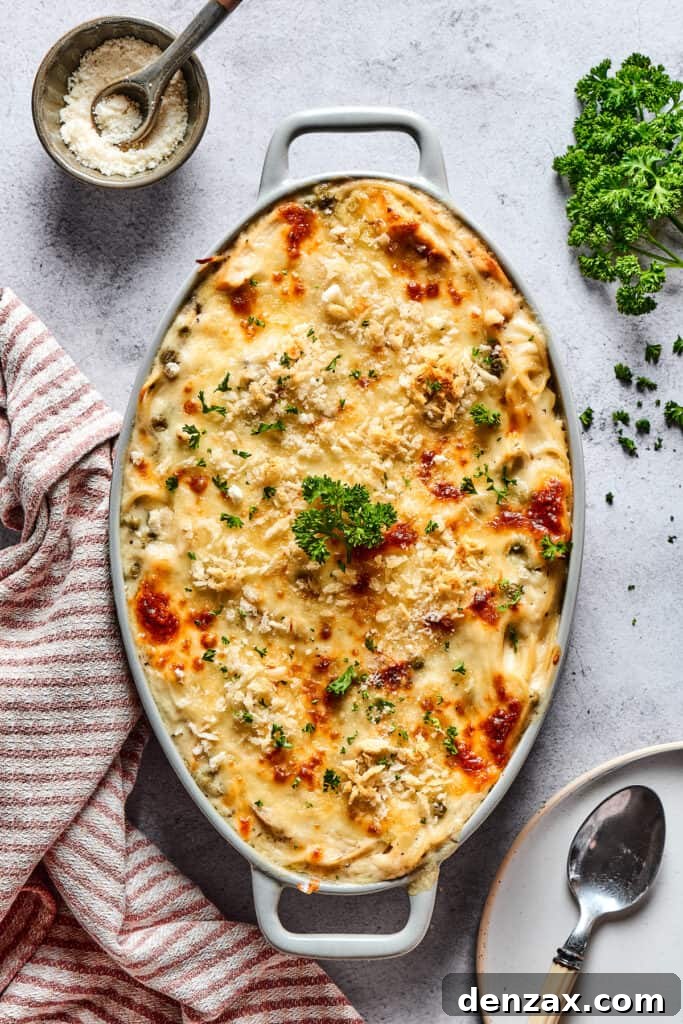 A beautifully baked chicken tetrazzini casserole, golden brown and bubbly from the oven.